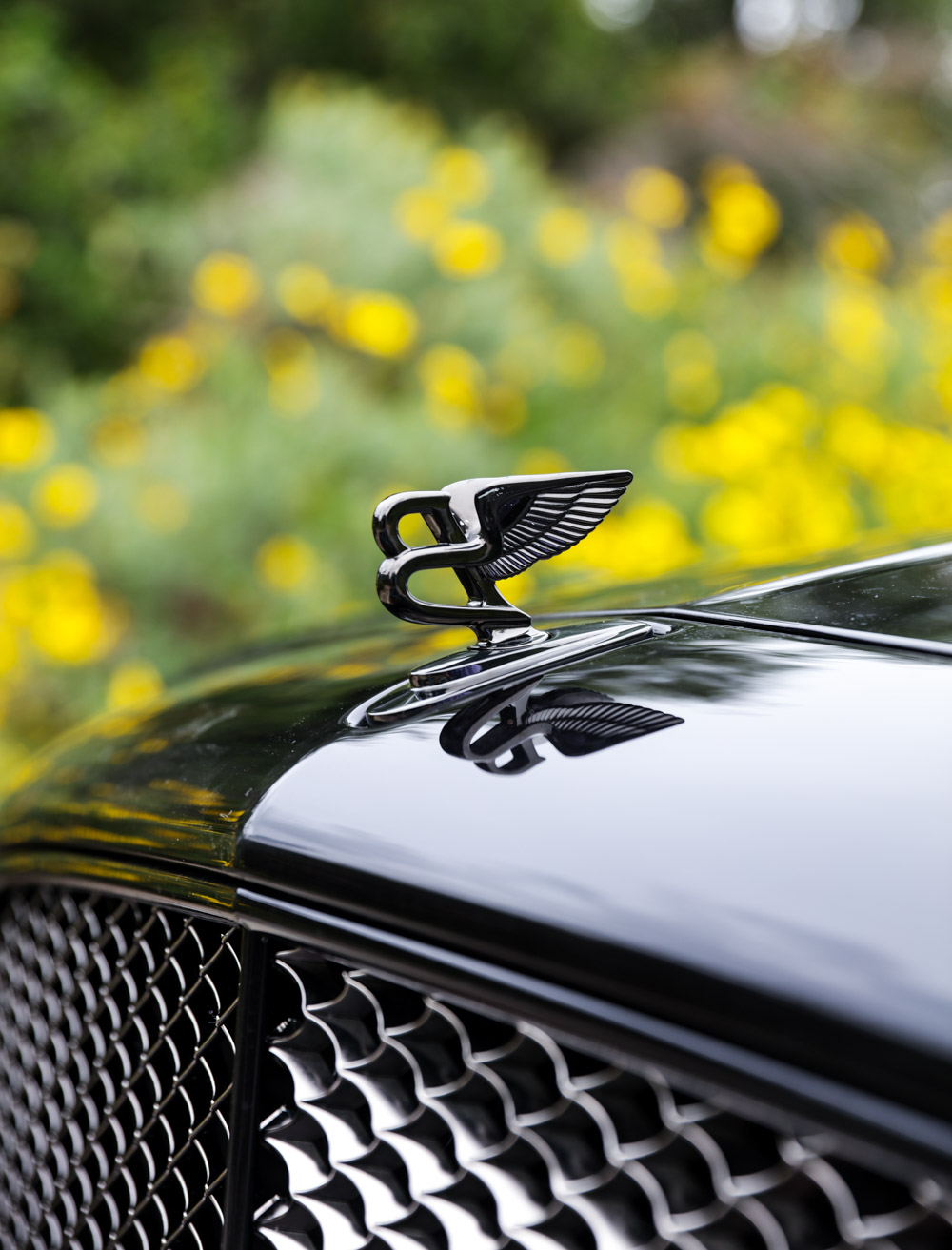 Bentley-Mulsanne-Speed-car-10