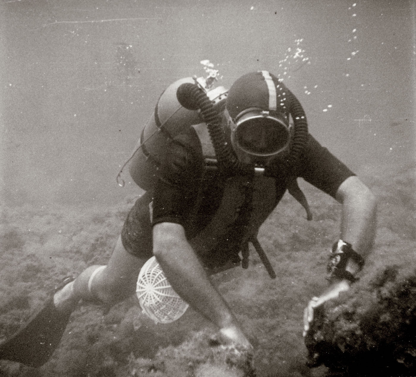 Blancpain-Fifty-Fathoms-Nageurs-De-Combat-Watch