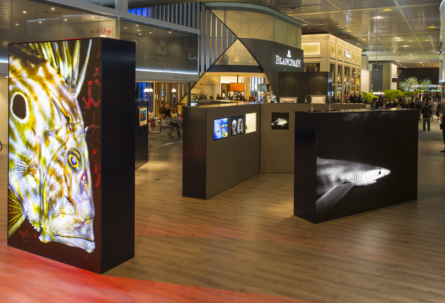 Blancpain exihibition for the 60th anniversary Fifty Fathoms