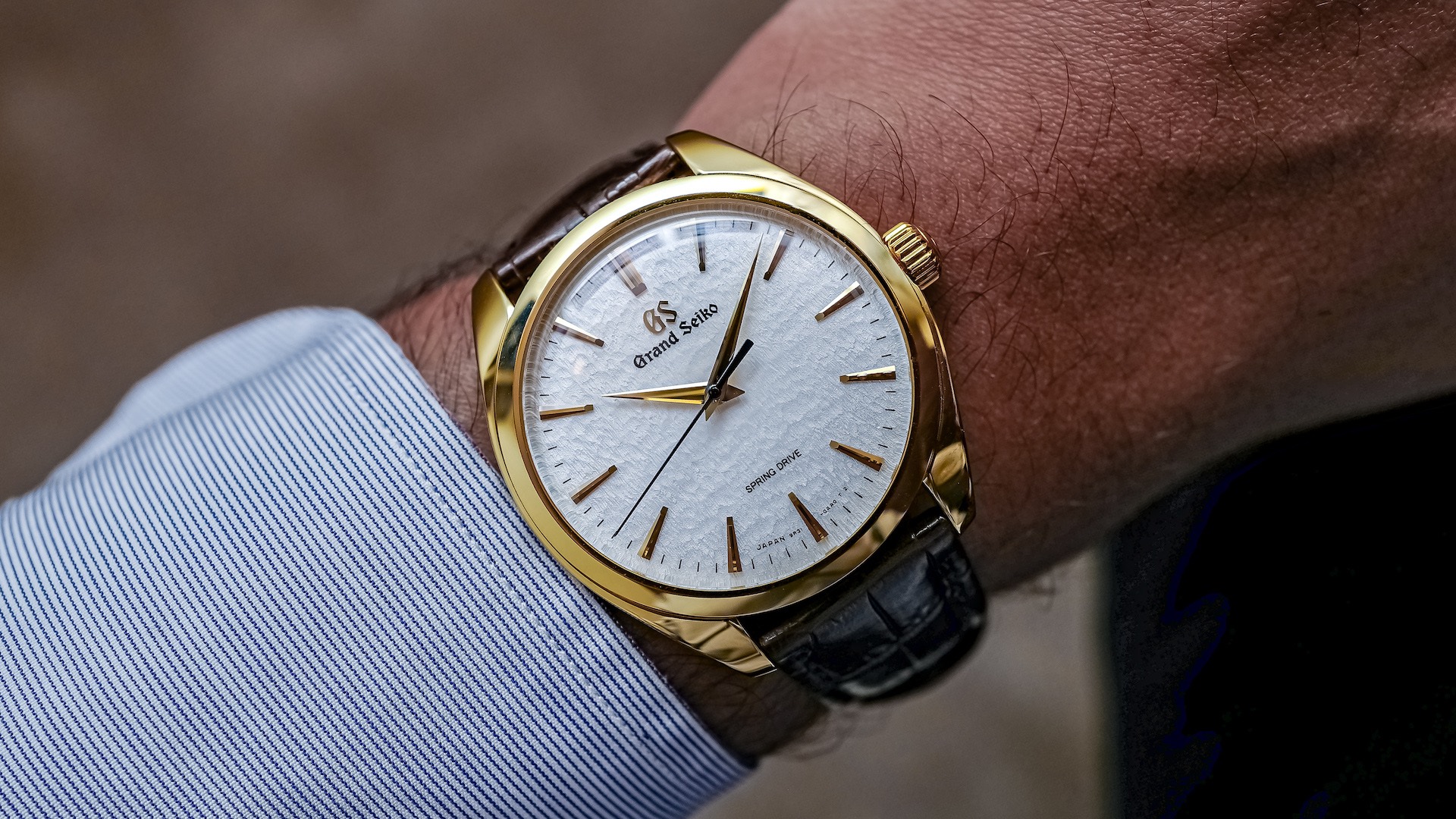 grand seiko elegance spring drive 20th anniversary