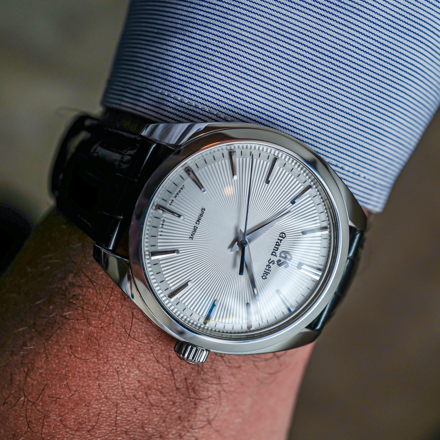 grand seiko elegance spring drive 20th anniversary