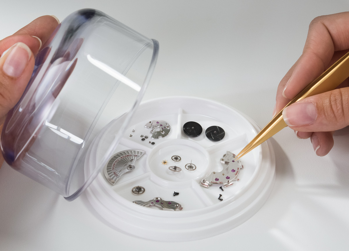 Isolated watch components