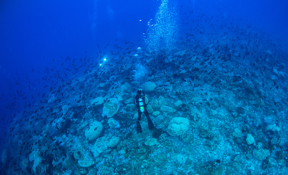 Oris-Aquis-Clipperton-Trip-3