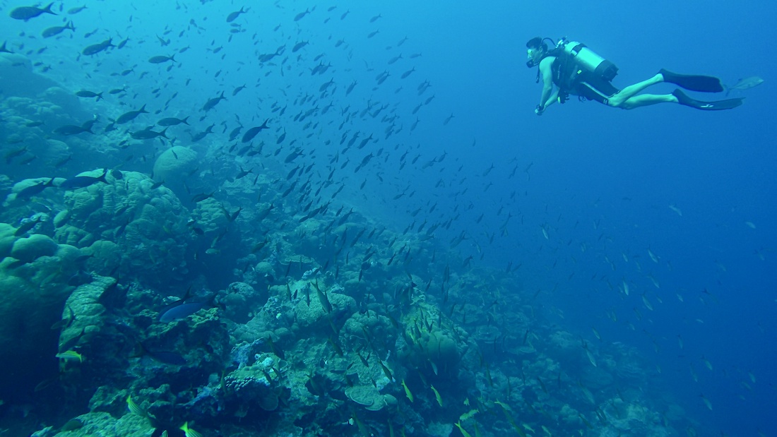 Oris-Aquis-Clipperton-Trip-39