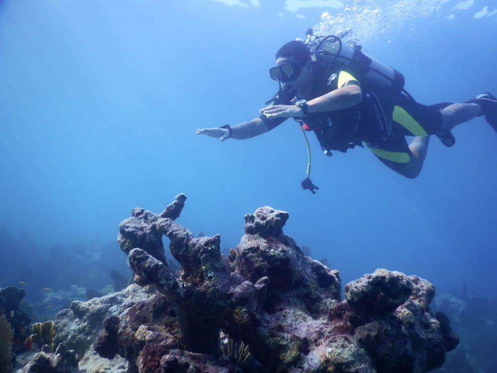 Oris-Aquis-Depth-Gauge-Chronograph-32