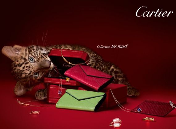 cariter les must panther 2
