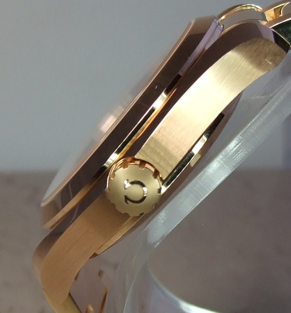 Crown detail of Aqua Terra GMT