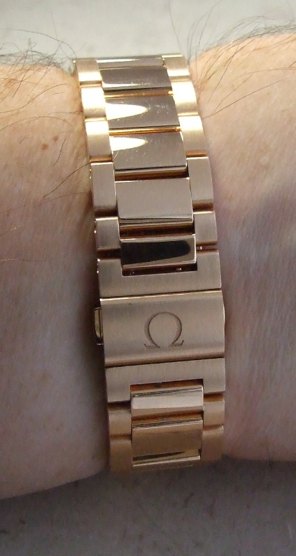 Omega Aqua Terra GMT on the wrist