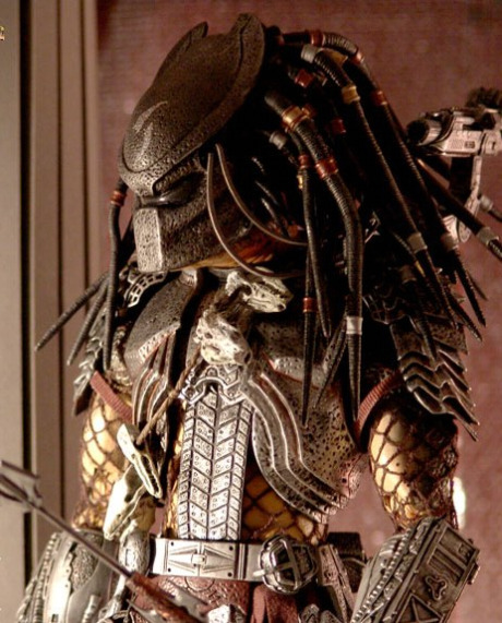 predator