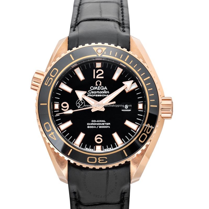 Omega Seamaster 232.63.38.20.01.001