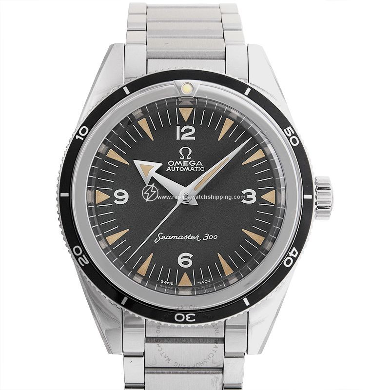 Omega Seamaster 234.10.39.20.01.001