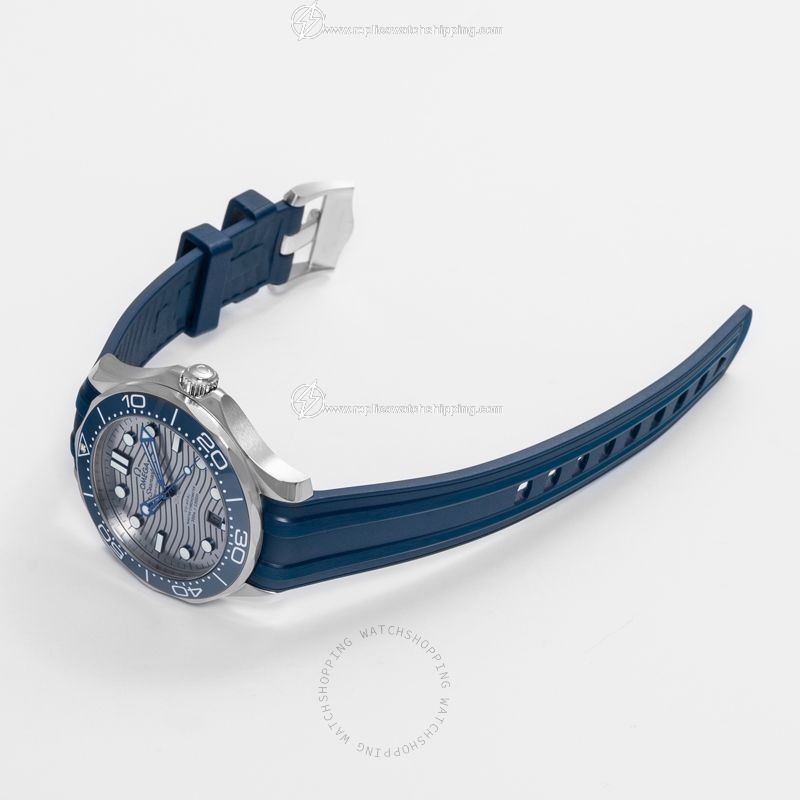 Omega Seamaster 210.32.42.20.06.001 1