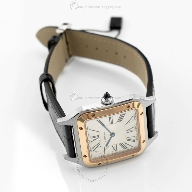 Cartier Santos de Cartier W2SA0011 1