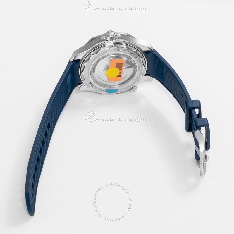 Omega Seamaster 210.32.42.20.06.001 2