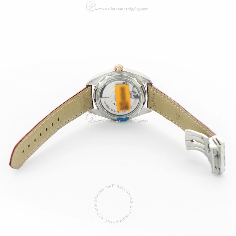 Omega Seamaster 220.23.34.20.60.001 2
