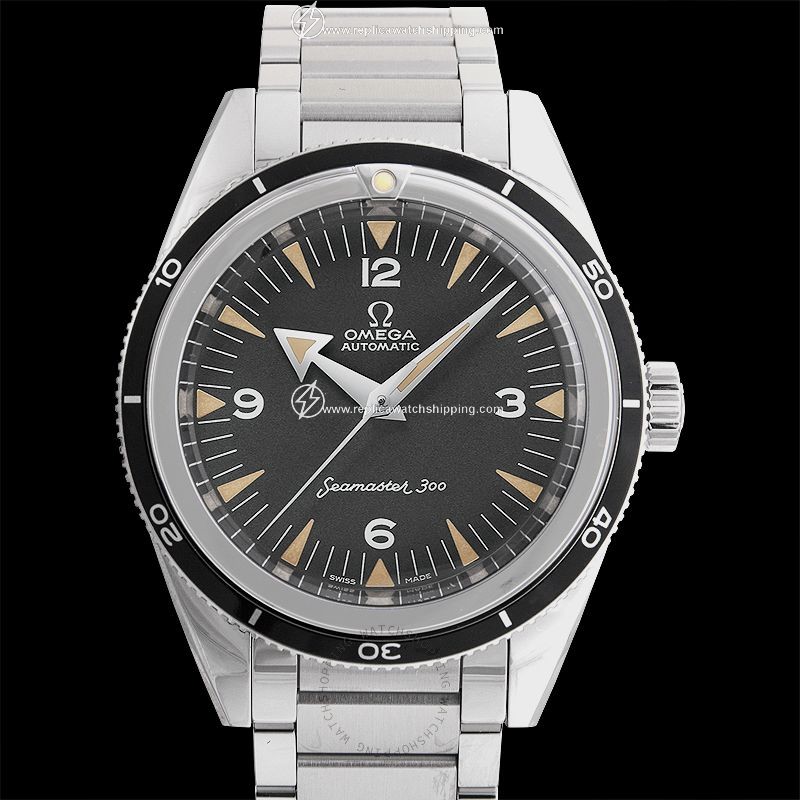 Omega Seamaster 234.10.39.20.01.001 2