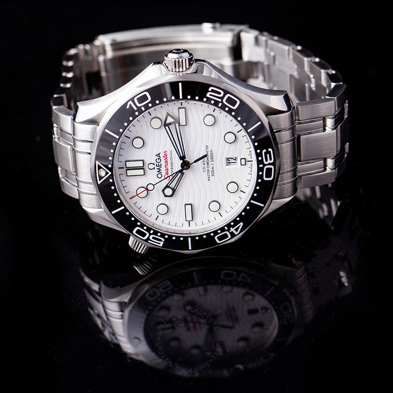 Omega Seamaster 210.30.42.20.04.001 3