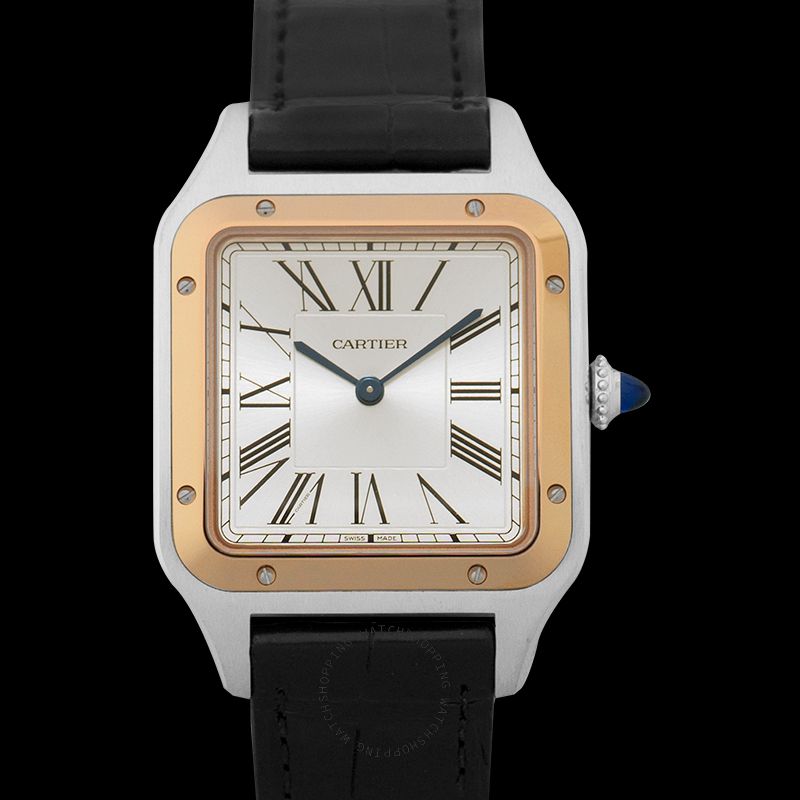 Cartier Santos de Cartier W2SA0011 3